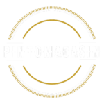 Pintomagasin logo